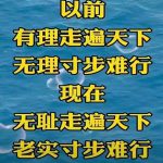 丈夫病重她拉黑两年多，去世后又来争遗产，法院这样判
